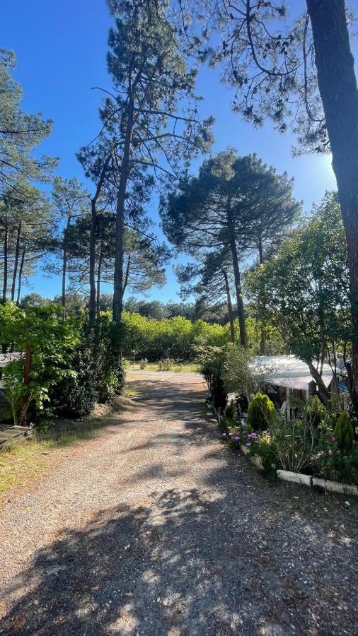 Tiny House Famille Nature Cap Ferret Claouey Exterior photo